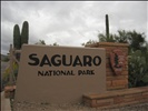 Welcome to Saguaro National Park